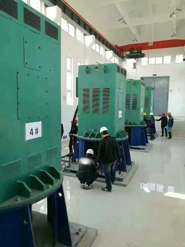 YR500-6某污水处理厂使用我厂的立式高压电机安装现场