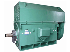 YR500-6Y系列6KV高压电机